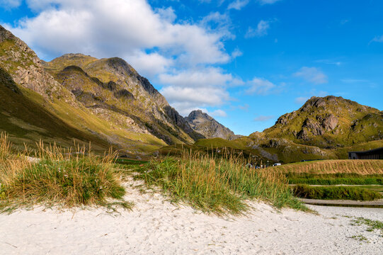 idyllic landscape at Haukland Beach in the Lofoten Islands with pale sand, beach grass, green meadows and impressive rocky mountains beneath a blue sky.