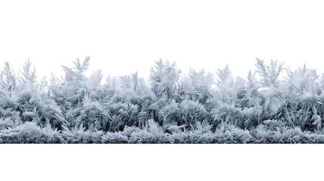 A professional studio shot of a abstract ice crystal frost patterns growing glass surface, clean PNG isolated on a solid white background