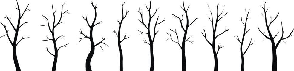 Fototapeta premium Bare Tree Set for Drought, Climate and Environmental Concepts