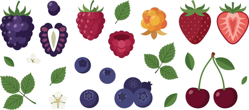 Collection of various fresh forest berries and leaves isolated on a white background set