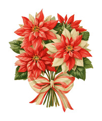Obraz premium PNG Festive poinsettia bouquet with red and cream blooms, ribbon bow