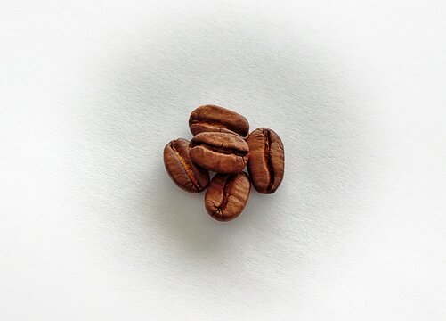 Mainz, Rhineland Palatinate, Germany: Roasted coffee beans arranged on white textured background with generous copy space.