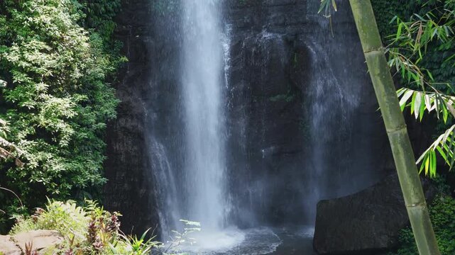 Scenic waterfall in jungle forest in Bali island