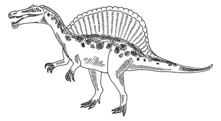 Spinosaurus sketch. Hand drawn prehistoric dinosaur animal © ONYXprj
