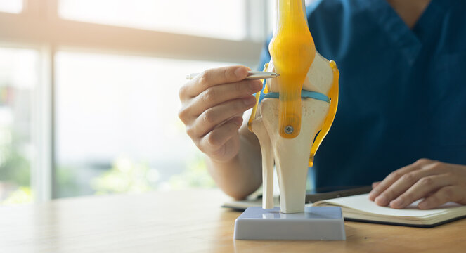 close up specialist chiropractor hand point on human knee anatomy to diagnosis and explain about symptom or how to treatment to patient  in office  at hospital fo health lifestyle concept