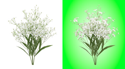 White flower bouquet arrangement on green background © Design Planer