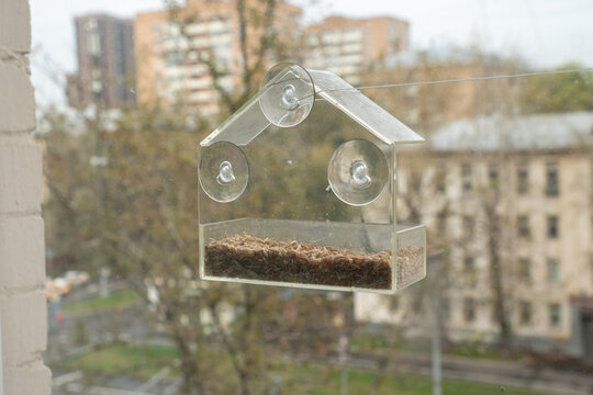 Empty transparent bird feeder filled with seeds is attached to a window with suction cups against an urban background. Bird feeding station, wildlife care, city nature and birdwatching concept