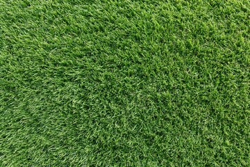 Obraz premium The Grass Carpet Closeup of Lush Green Blades in Morning Light