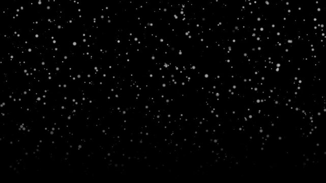 Snow particles float over dark backdrop in steady motion. White specks fill black background evenly, giving snow themed design simple, elegant texture with strong contrast and calm mood.