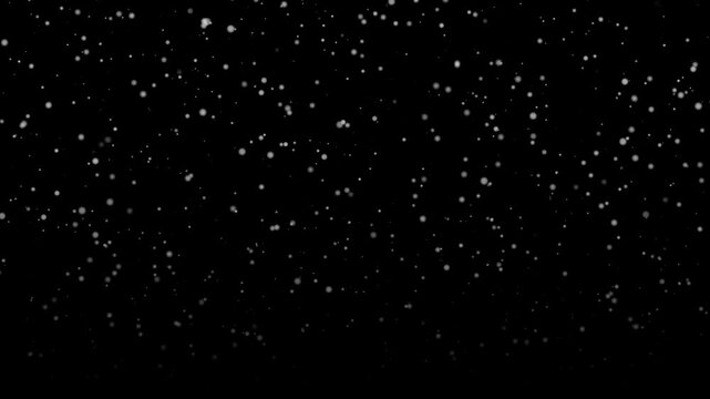 Particle overlay of white snowlike dots falls across black background. Abstract motion stays steady and soft, offering clean winter effect for editing, compositing, and motion graphics.
