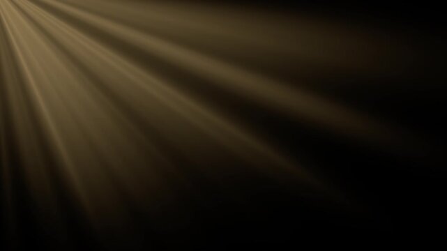 Abstract golden beams sweep over black background, offering commercial background for clean branding. Light streaks fan outward in gentle motion, giving design work calm and refined feel.