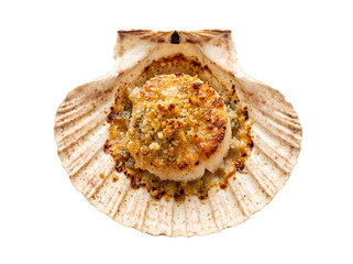 Baked Scallop in Shell Appetizer © Frodo