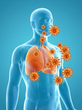 3D illustration showing viral infection in human lungs and respiratory system