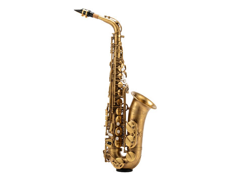 Professional Gold Alto Saxophone