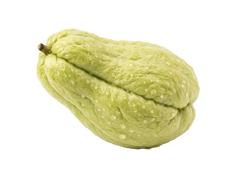 Fresh Green Chayote Squash Isolated