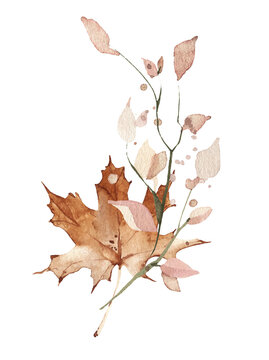 Watercolor floral fall arrangement bouquet. Red, burgundy, brown, pink autumn wild flowers, maple leaf branches and twigs. Hand painted isolated template design.