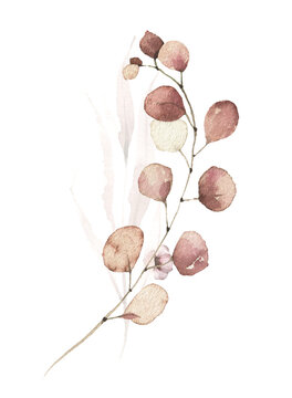 Watercolor floral fall arrangement bouquet. Red, burgundy, brown, pink autumn wild flowers, eucalyptus branches, leaves and twigs. Hand painted isolated template design.