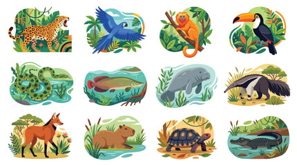 Fototapeta premium Collection of diverse jungle wildlife animals