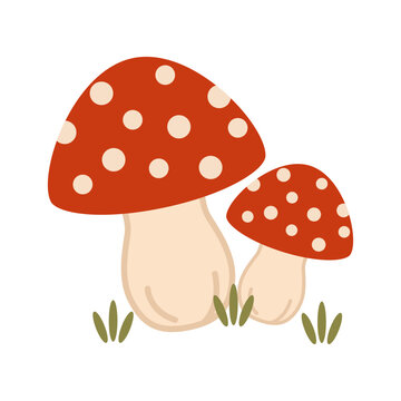 Two fly agaric mushrooms with green grass, isolated on a white background. Flat vector illustration for your design.