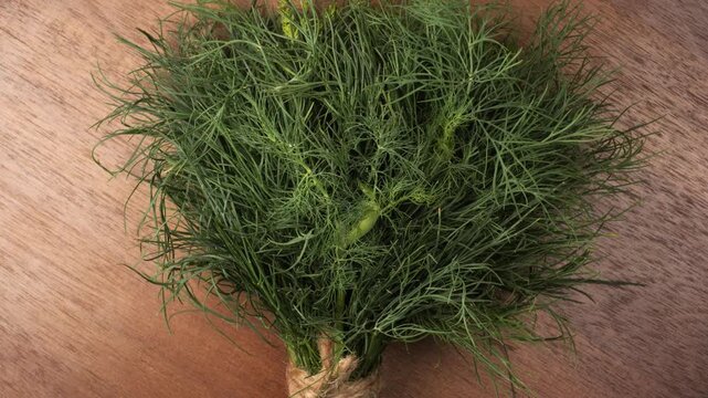 Fresh green dill herb bunch rotating on a wooden table