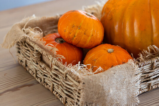 Wicker basket is holding three small orange pumpkins on light wooden tabletop, frayed burlap