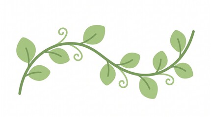 Obraz premium Green vine with leaves and swirls on white background