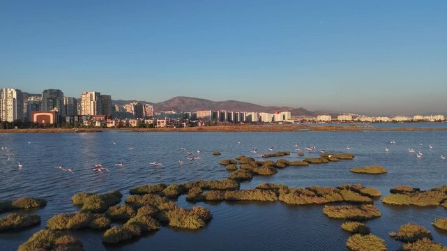 Aerial view  of Gediz Delta with flamingos and Izmir city, a major protected coastal wetland covering about 40,000 hectares at the confluence of the Gediz River and the Gulf of İzmir.