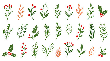 Fototapeta premium Christmas Holly Leaves Flowers Pine Branches and Winter Floral Hand Drawn Doodle Set