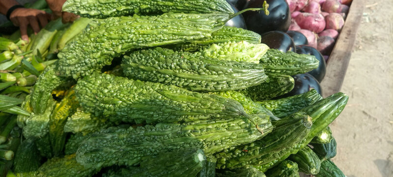 Fresh green bitter gourds (Momordica charantia) displayed at an Asian vegetable market