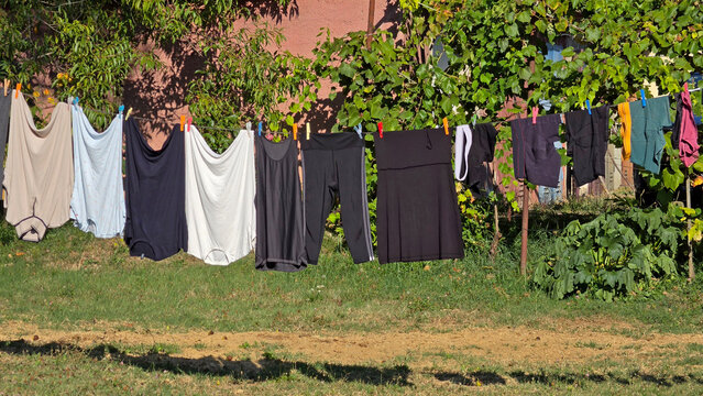 Various items of clothing hanging on a clothesline with colorful pegs to dry in a sunny garden with grapevines and green grass