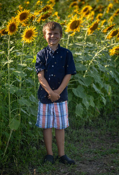 A Little Boy in a Flower Patch 
