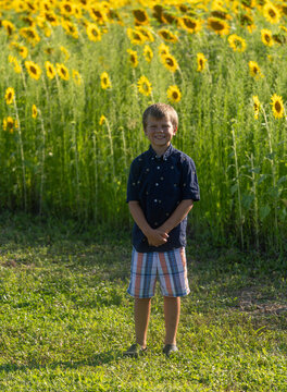 A Little Boy in a Flower Patch 