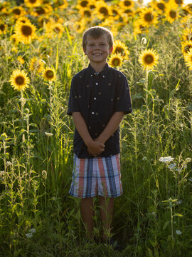 A Little Boy in a Flower Patch 