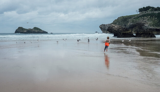 Young boy running towards flying seagulls on sandy ocean beach on Bay of Biscay coast along Camino del Norte pilgrimage route in Basque Country Spain during cloudy day outdoor travel family vacation