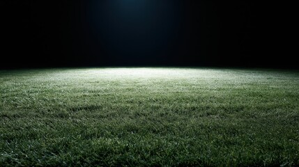 Obraz premium Illuminated grass football pitch at night viewed from ground level
