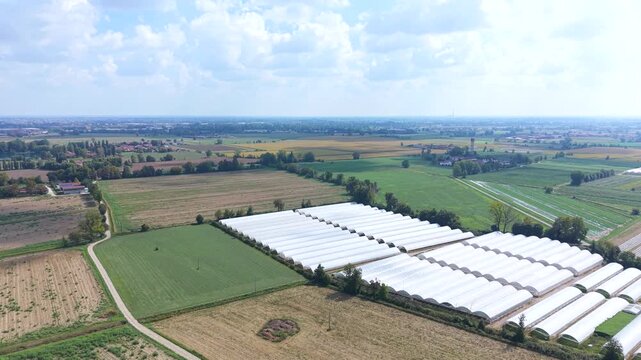 Greenhouse Farming Landscape Aerial view