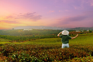 Person wearing conical hat admiring sunset over tea field hills Da Lat, travel to Vietnam