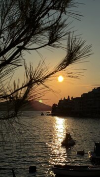Silhouetted foreground branches frame a wide view of a calm body of water meeting the sky at sunset, with buildings lining the distant shore
