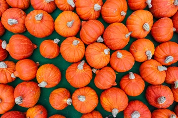 Small orange mini pumpkins (Cucurbita pepo) arranged closely together on green mat in outdoor harvest display. © Sergey Kohl