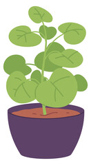 Philodendron flowerpot color icon. Interior green decoration © ssstocker