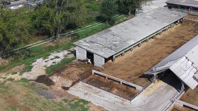 Farm Structure Aerial View: An aerial perspective reveals the expansive layout of a farm, showcasing weathered buildings and open-air enclosures, hinting at agricultural activity.