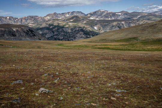Scenic High Mountain Landscape at Beartooth Pass Under Clear Blue Skies, Montana, USA