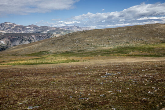 Scenic High Mountain Landscape at Beartooth Pass Under Clear Blue Skies, Montana, USA