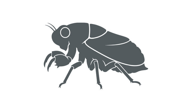 Parasitic flea insect silhouette depicted in solid gray graphic style isolated on a clean white background.