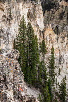 Colorful Cliffs and Rock Formations of the Grand Canyon of the Yellowstone, Wyoming, USA