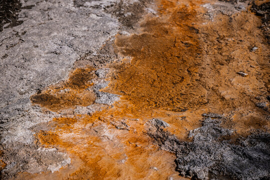 Colorful Mineral Formations Around Geothermal Springs in Yellowstone National Park, USA