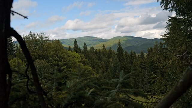 A picturesque panorama of the Pieniny mountain range in the Malopolska region, Poland. scenic view of golden rolling hills and mixed forest under a cloudy sky during late summer or early fall