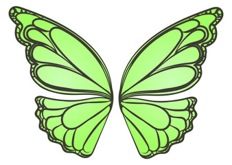 Obraz premium Green butterfly wings. Flying insect colorful symbol