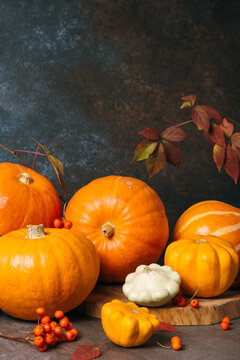 Autumn composition for Thanksgiving Day, still life background with empty copy space. Pumpkin harvest, vegetables, patissons, autumn leaves, red berries on dark wooden table. Fall design.