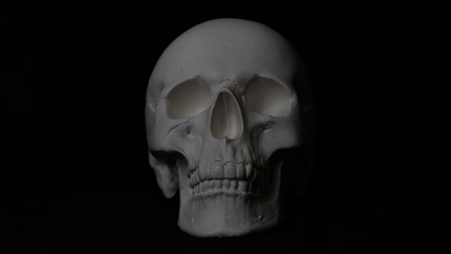 Artificial Human Skull Isolated on Black Background